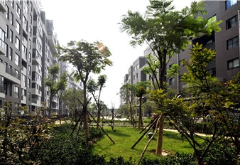 西安公園綠化